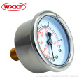 High pressure 300 bar regulator Gauge